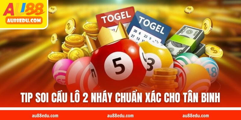 Tip soi cầu lô 2 nháy  chuẩn xác cho tân binh